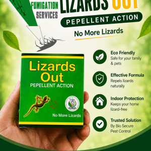 Lizards out
